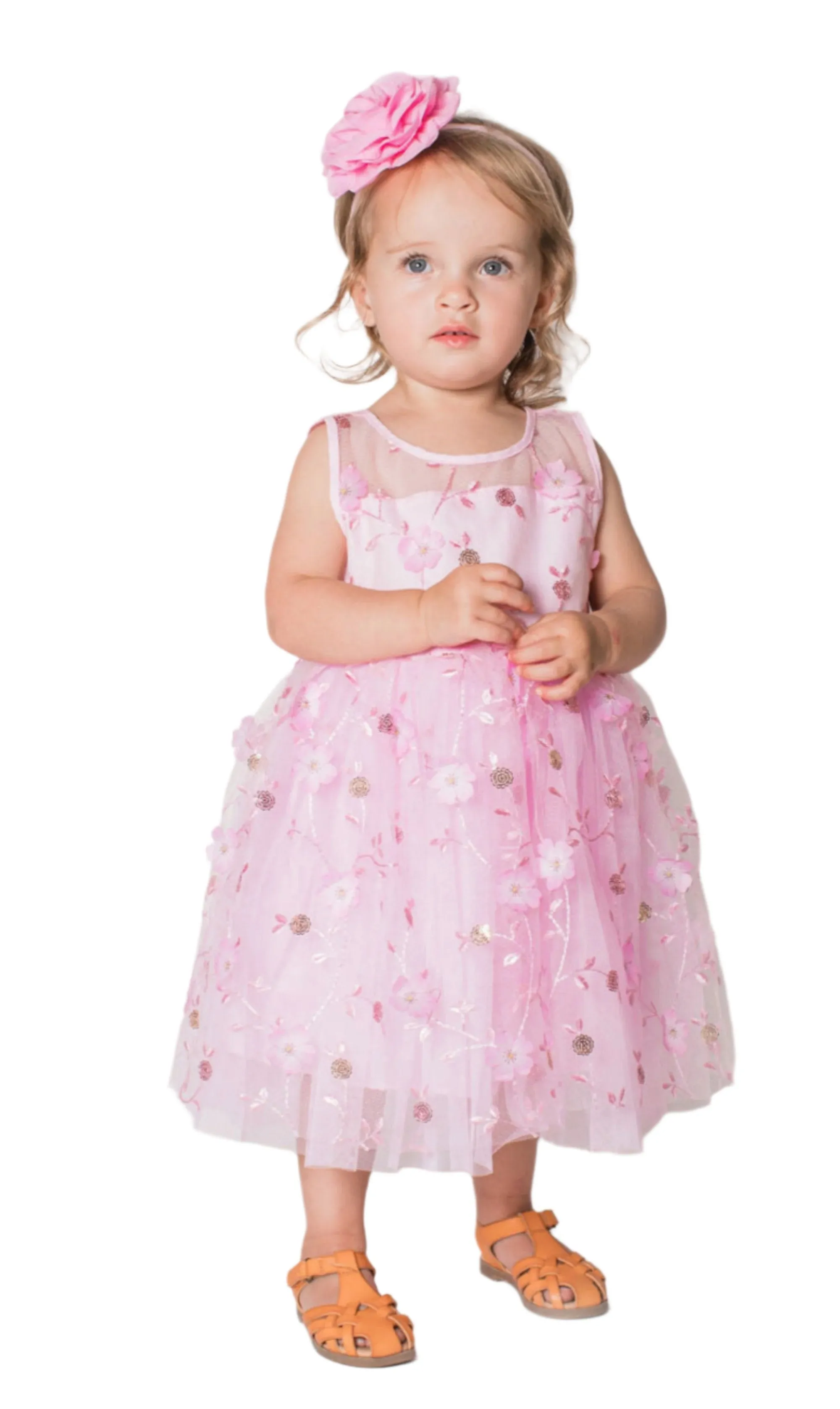 Baby Girl's Pink Elegant Tulle Dress