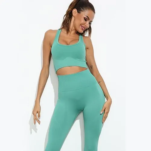 Flair 2 Piece Seamless Fitness Yoga Set