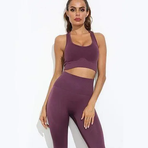 Flair 2 Piece Seamless Fitness Yoga Set