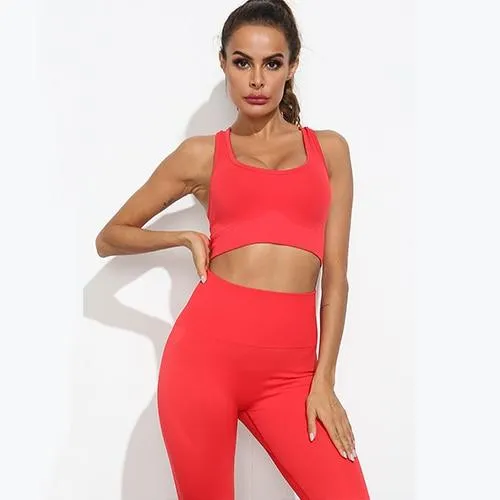 Flair 2 Piece Seamless Fitness Yoga Set