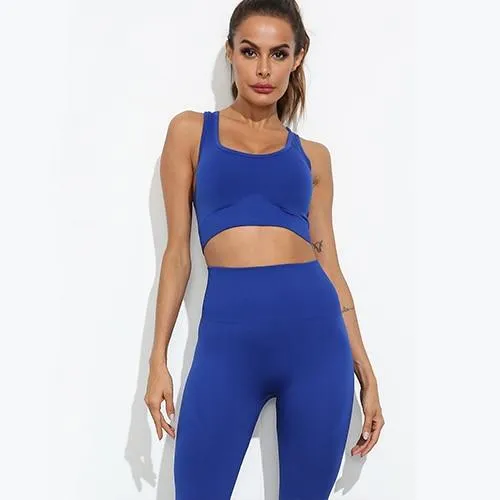 Flair 2 Piece Seamless Fitness Yoga Set