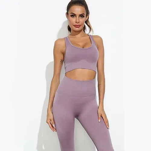 Flair 2 Piece Seamless Fitness Yoga Set