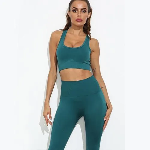 Flair 2 Piece Seamless Fitness Yoga Set