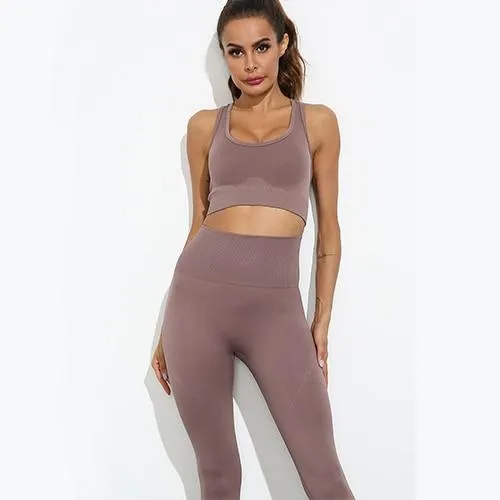 Flair 2 Piece Seamless Fitness Yoga Set