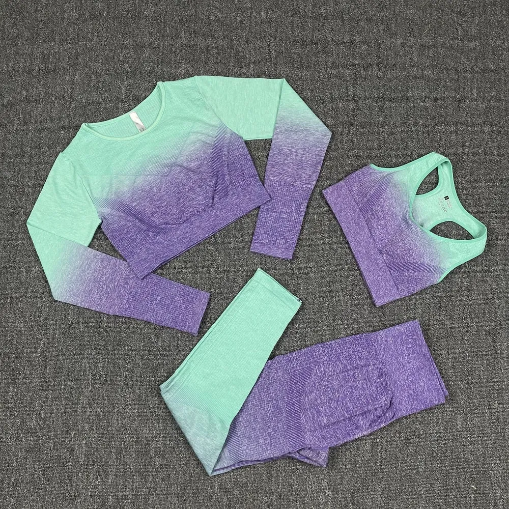 Seamless Green and Purple Ombre Padded Sports Bra and Leggings Gym Set