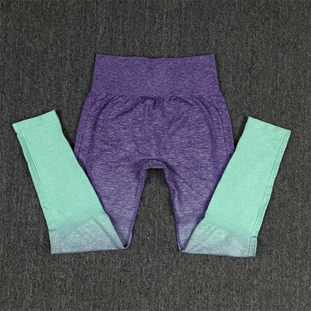 Seamless Green and Purple Ombre Padded Sports Bra and Leggings Gym Set