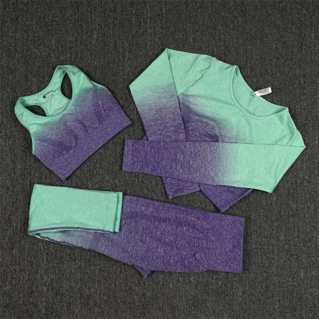 Seamless Green and Purple Ombre Padded Sports Bra and Leggings Gym Set